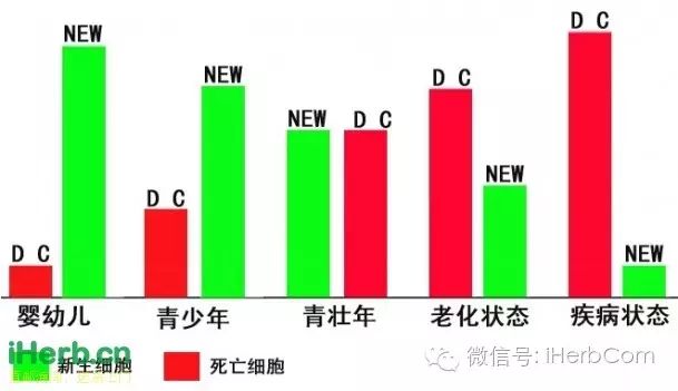 【与iHerb同行】值得认真拜读的专业人士原创大作！